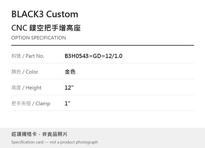 BLACK3 Custom B3H0543=GD=12/1.0 金色 / 12" / 1" 選項規格卡，非實品照片