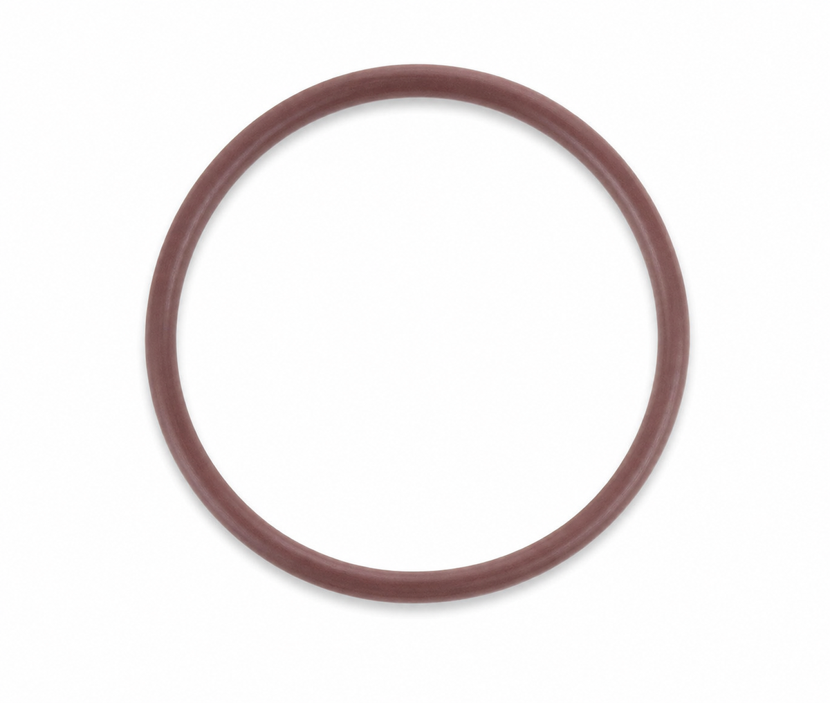 Harley-Davidson 12066A Oil Seal