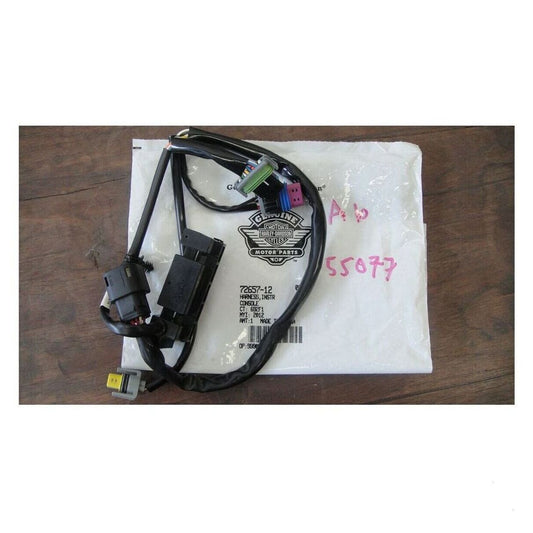 Harley-Davidson HARNESS,INSTR CONSOLE