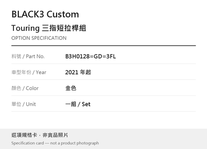 BLACK3 Custom B3H0128=GD=3FL 2021 年起 / 金色 選項規格卡，非實品照片