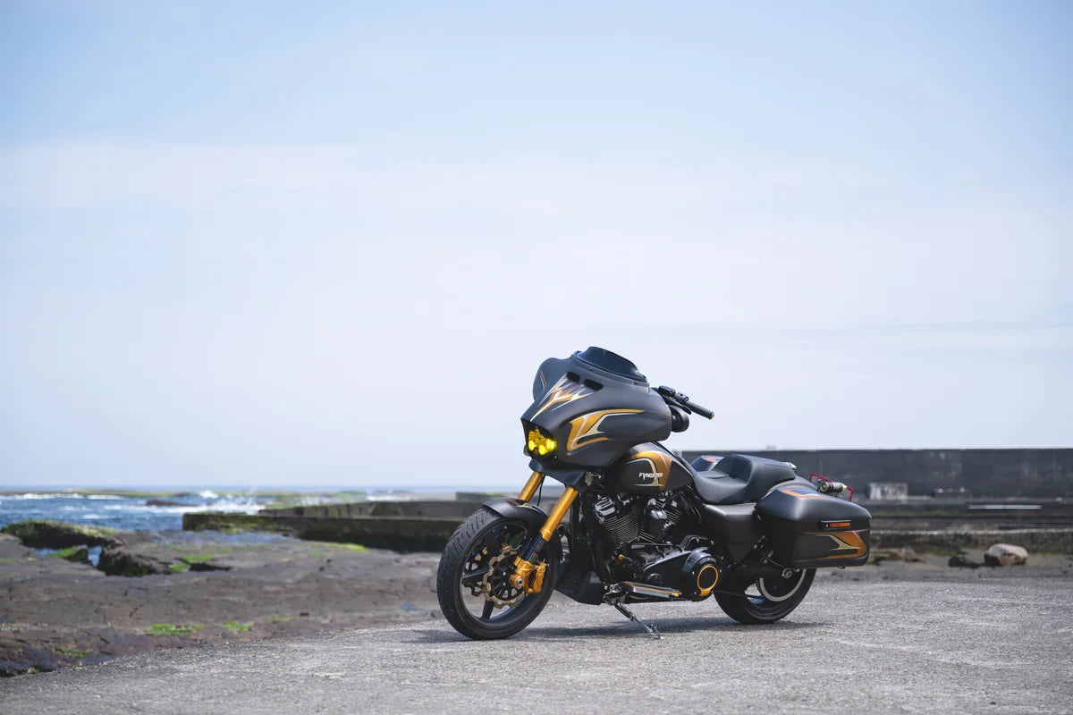 FANGSTER Performance Bagger 2024 motorcycle build