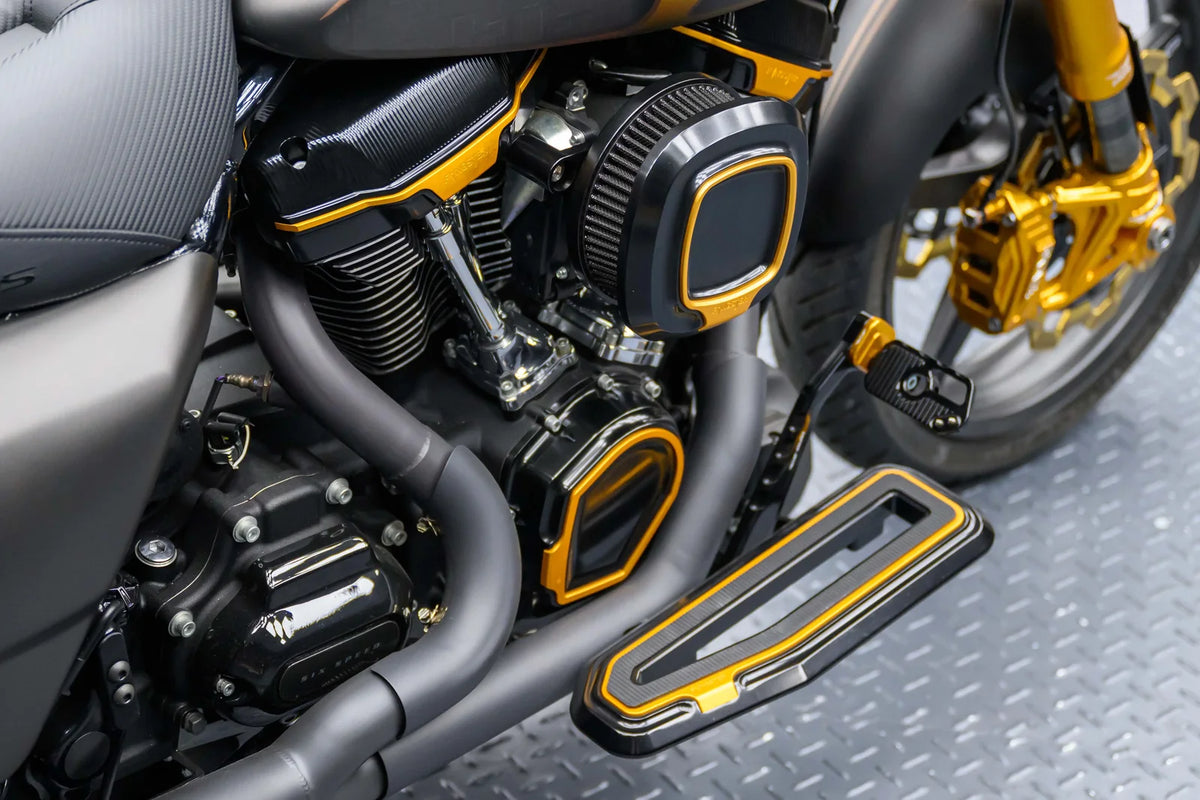 Performance Bagger engine and floorboard details