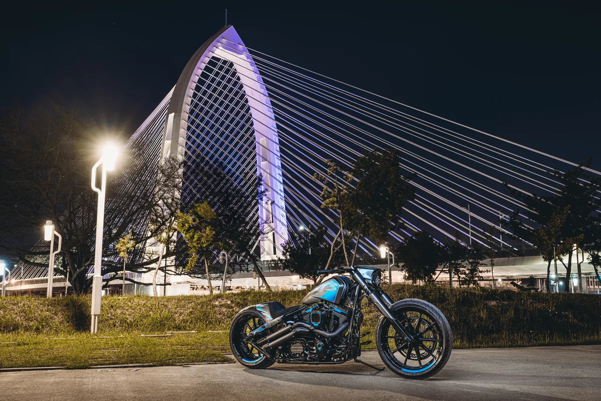 FANGSTER Rev Falcon 2025 motorcycle build