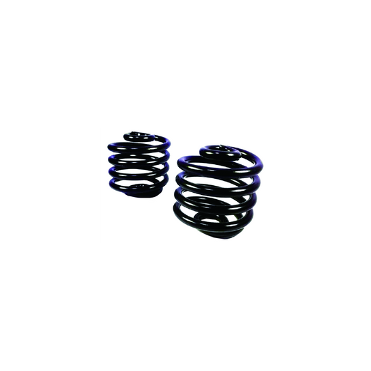 MotoTown Seat Spring Pair, Cylindrical, 2 in., Black